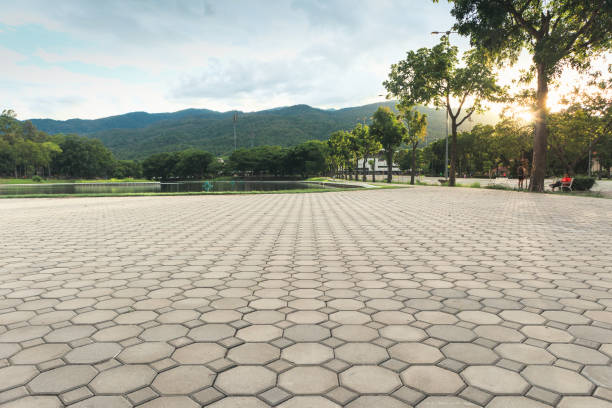 Best Professional Driveway Pavers  in Beaufort, NC