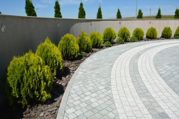 Best Driveway Repair Near Me  in Beaufort, NC