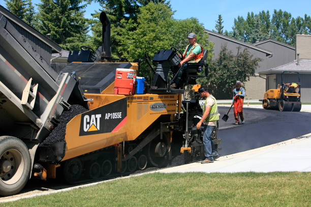 Best Local Driveway Pavers  in Beaufort, NC
